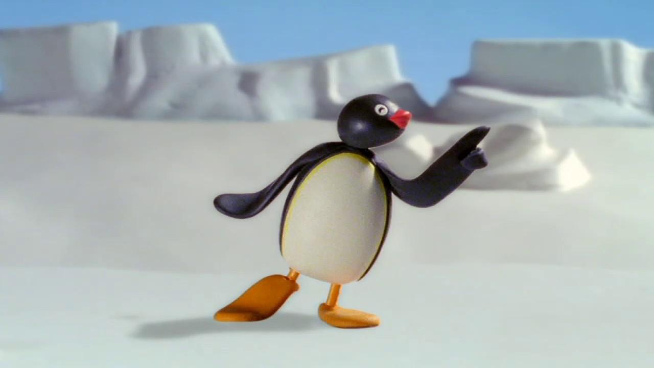 Pingu