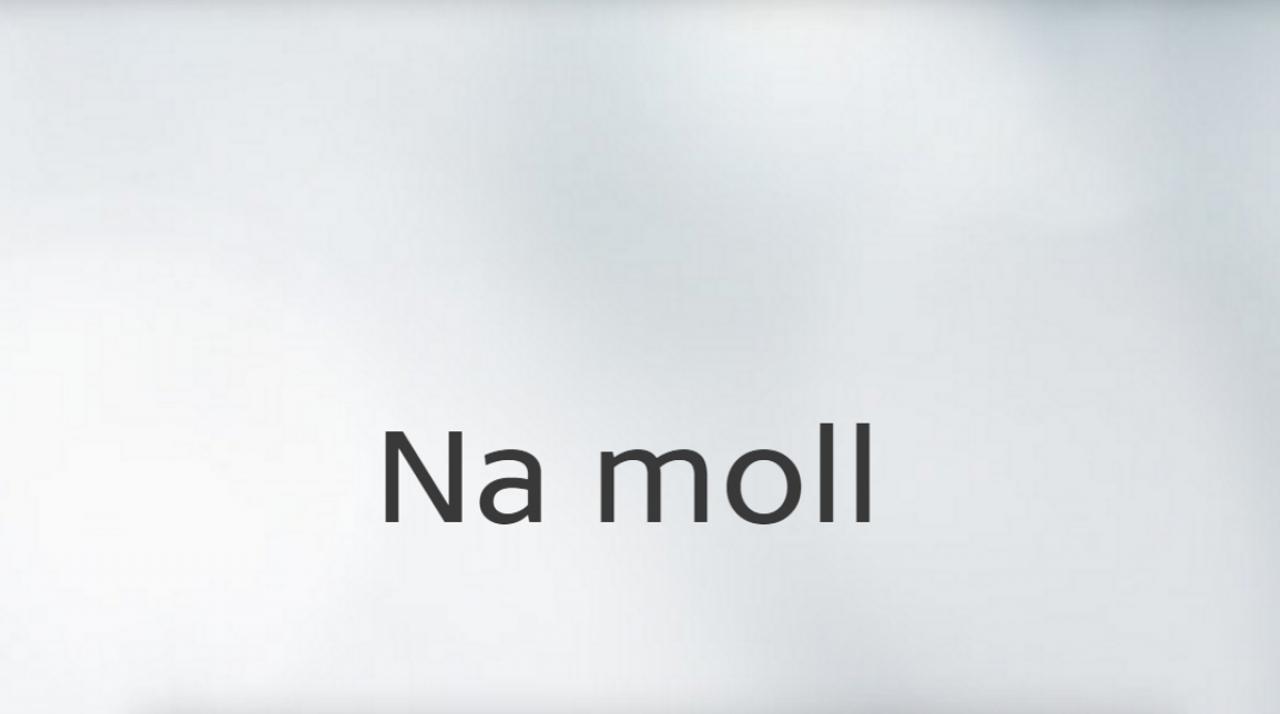 Na moll... / 02.09.2024, 04:15