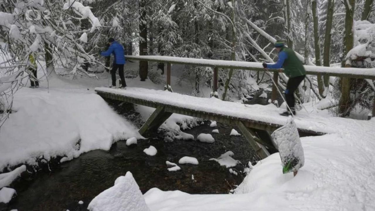 Bežkopotulky (Bežkopotulky: Krušné hory) / 17.12.2024, 19:10