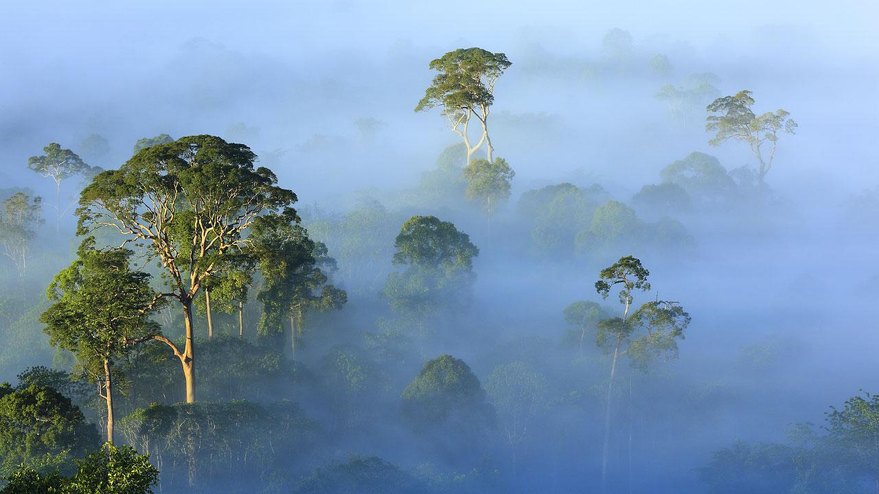 Borneo - prastarý ostrov